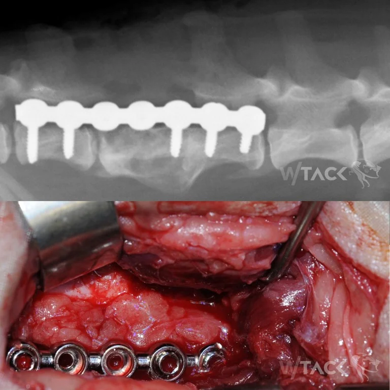 Neuro-Chirurgie Galerie Bild 8