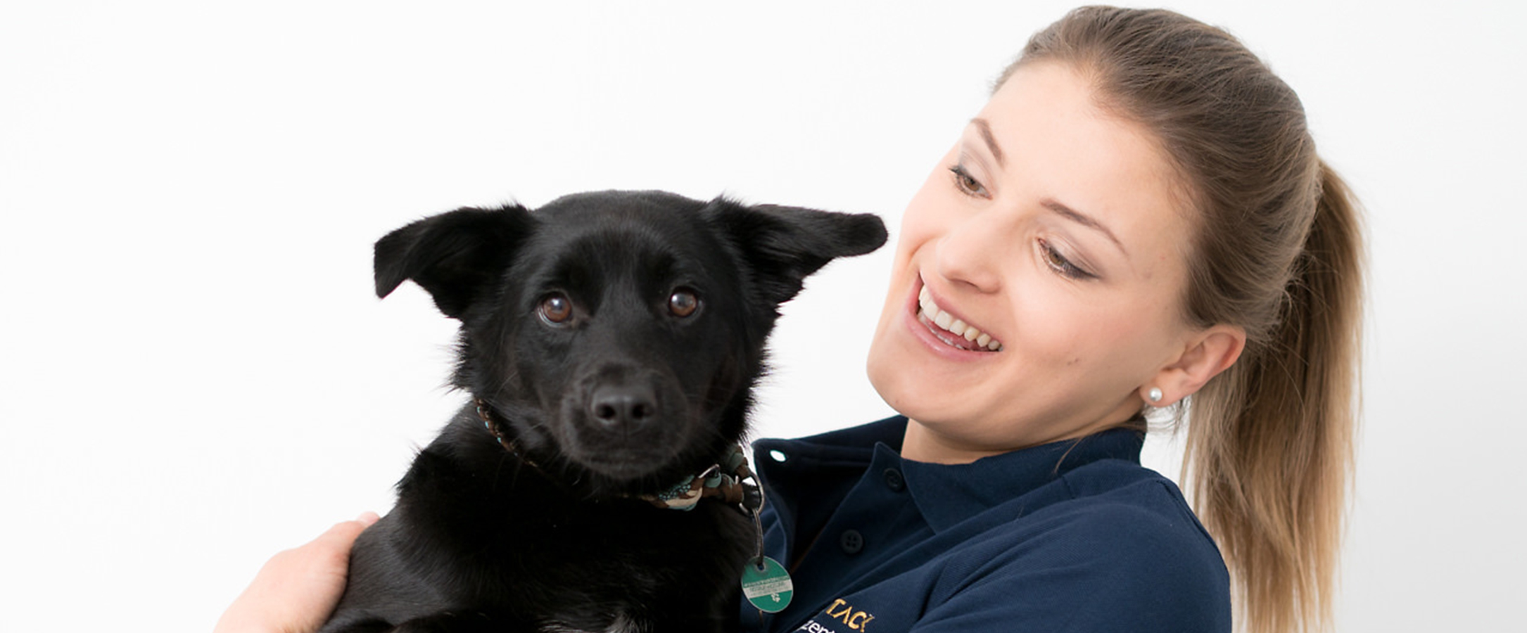 Hund im Fachtierarztzentrum Dr. Tack